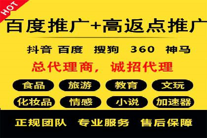 SEM广告投放策略：成功案例解析